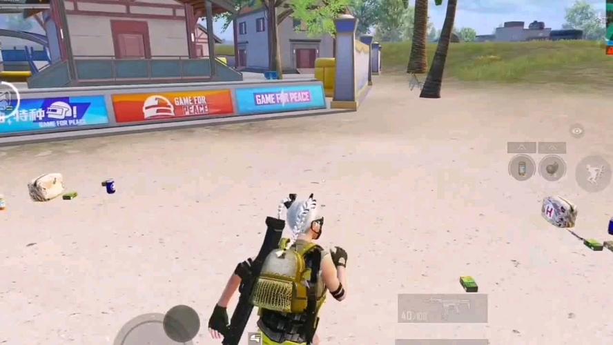 和平精英《敖光》辅助